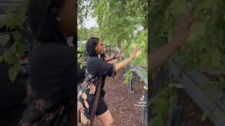 Woman Talks to Tree #shortvideo #youtubeshorts #shortsfeed #youtube #shorts #short #fy #foryou #fyp