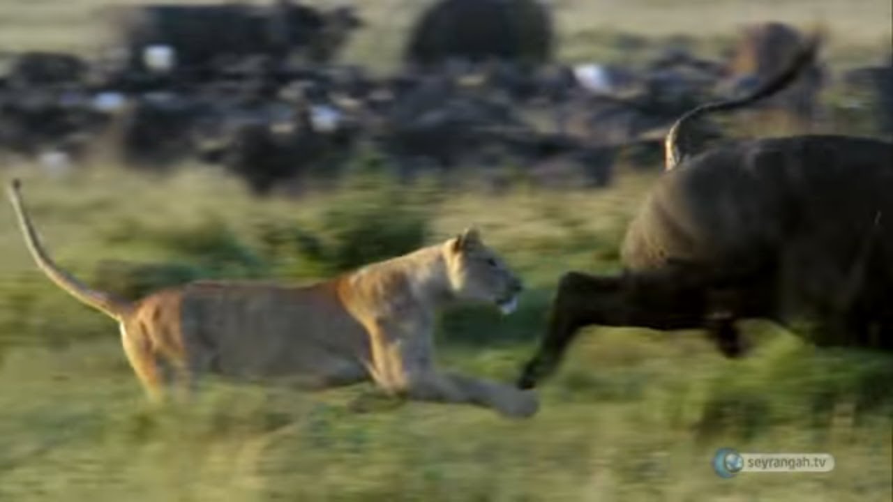 Allah'ın İsimleri - 6: Es-Selam