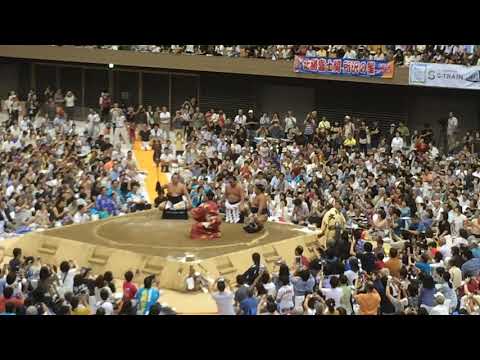 平成29年大相撲地方巡業所沢    横綱日馬富士土俵入り
