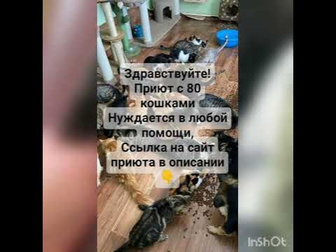 Черняшка) - YouTube