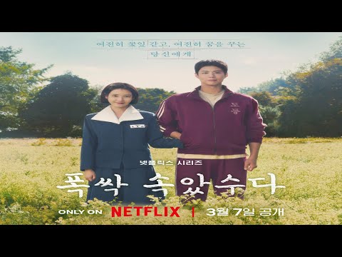 🔥 전 세계가 사랑하는 ‘폭싹 속았수다’ 🌸 | 아이유 & 박보검의 환상 케미! | Netflix K-Drama Global Hit Review