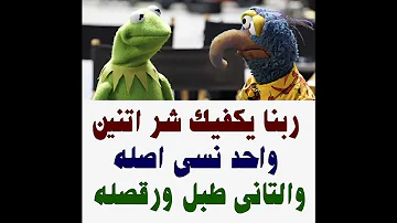 تحميل حكم مضحكه الضفدع Mp4 Mp3