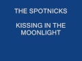 Miniature de la vidéo de la chanson Kissing In The Moonlight