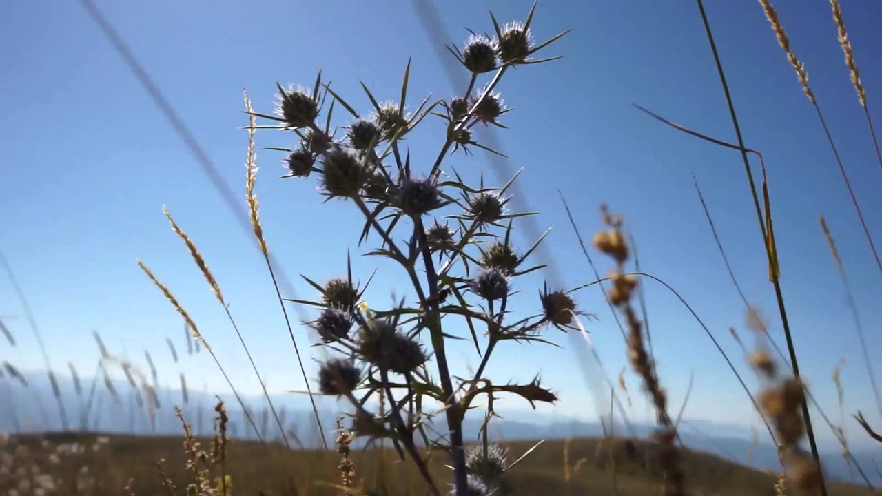 Driving from Lake Ohrid To Lake Prespa