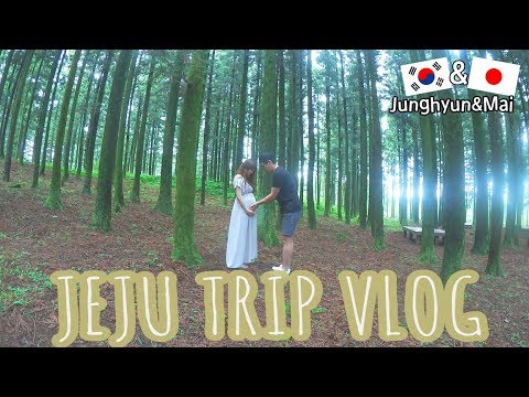 [vlog] 産前最後の旅行♡チェジュ島 (後編) / 제주도 <strong>태교여행</strong> (후편)
