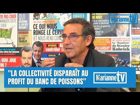 Emmanuel Todd : « La collectivité disparaît au profit du banc de poissons »