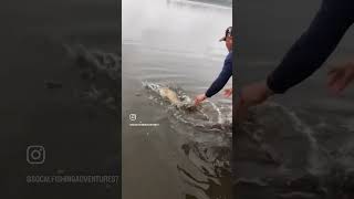 Carp Catch And Release