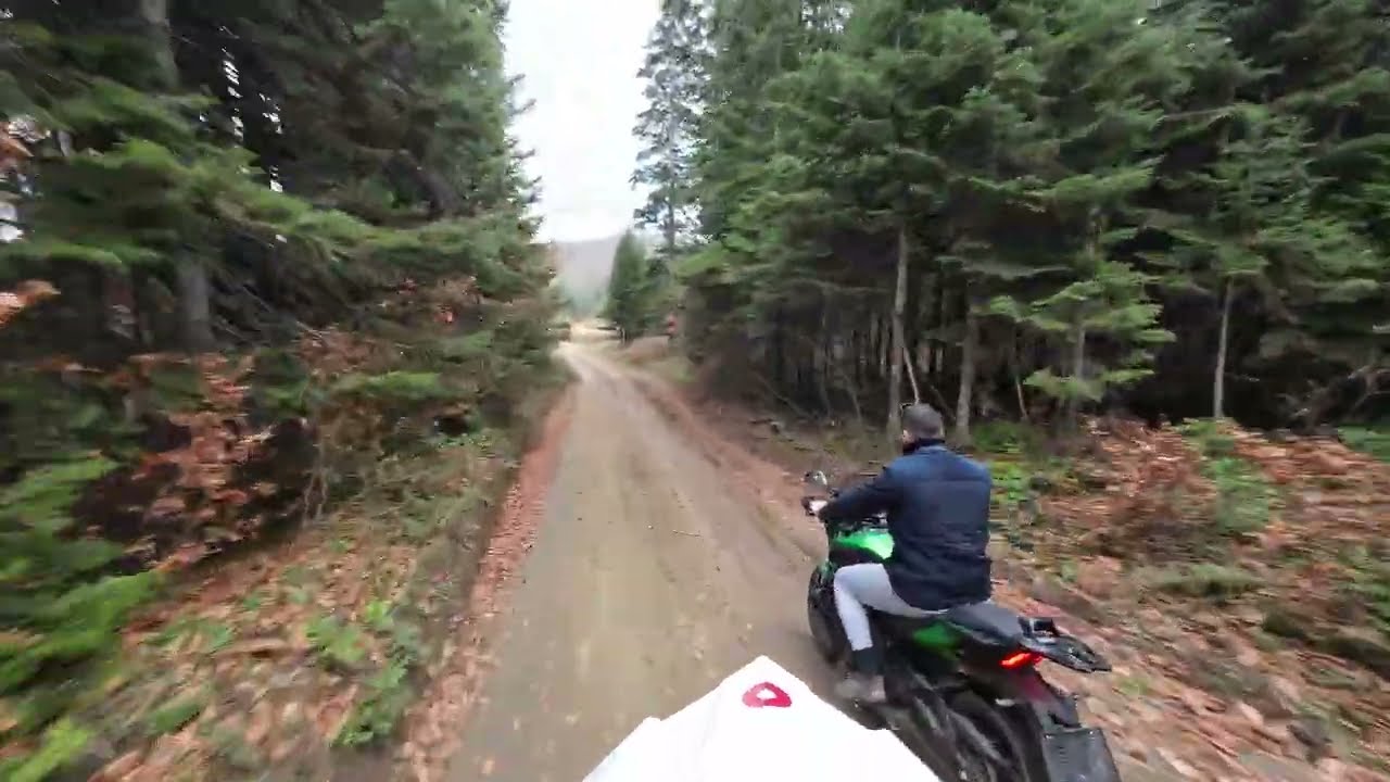 [ASMR] Higher Into The Wild | Part 3: Deep Mountain Echoes (No Music) 🏔️🔊