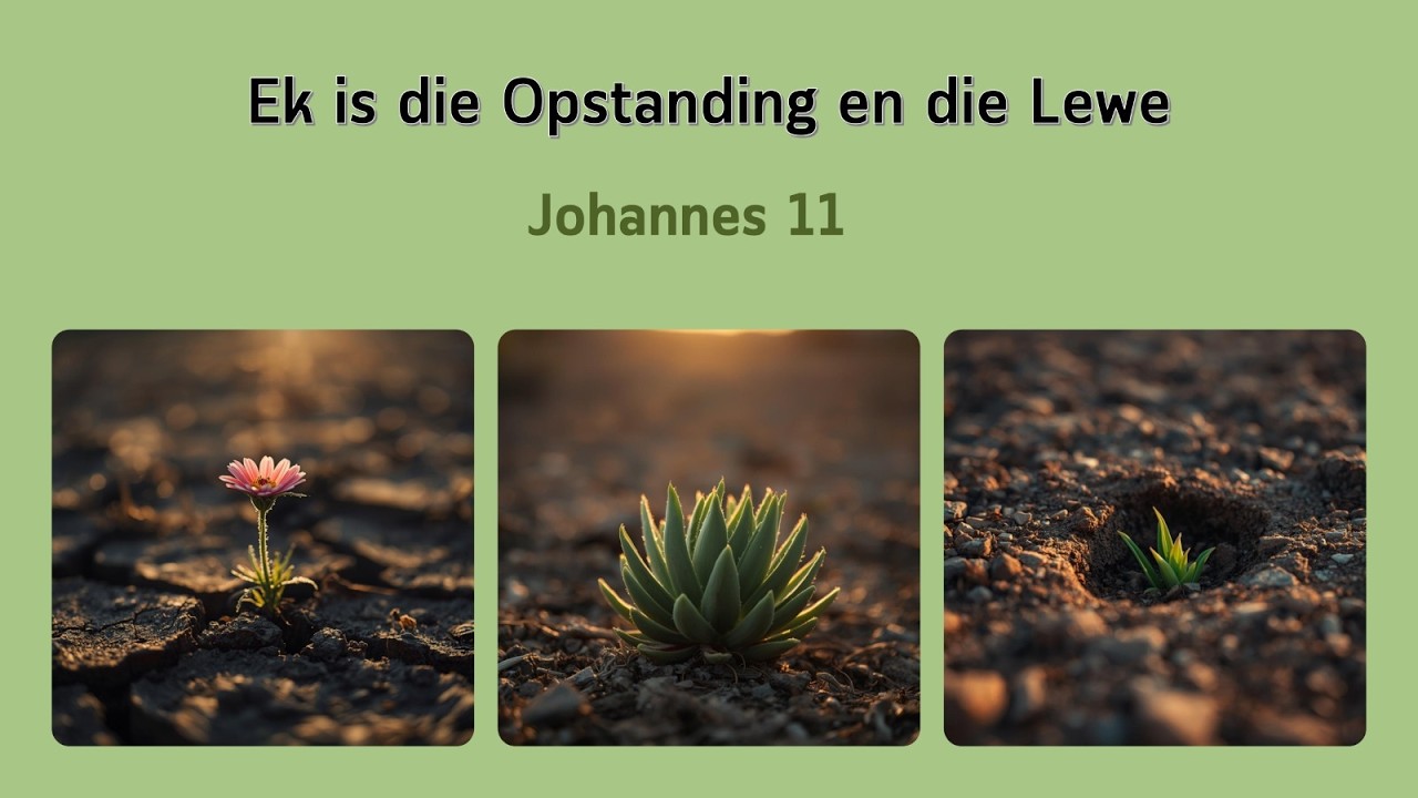 Johannes 11_ Ek is die opstanding en die lewe.