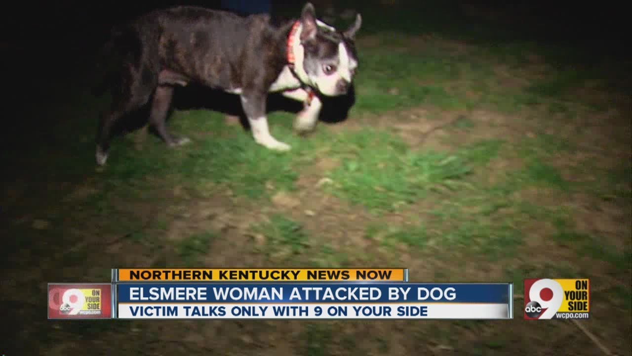 Northern Kentucky woman recovering after being attacked by dog - YouTube