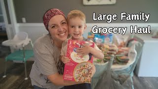 Trying Some NEW Things | Large Family Grocery Haul | Walmart Grocery Haul