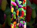 Easy and fast techniques for growing and propagating mulberry trees #gardening #farm #fruits