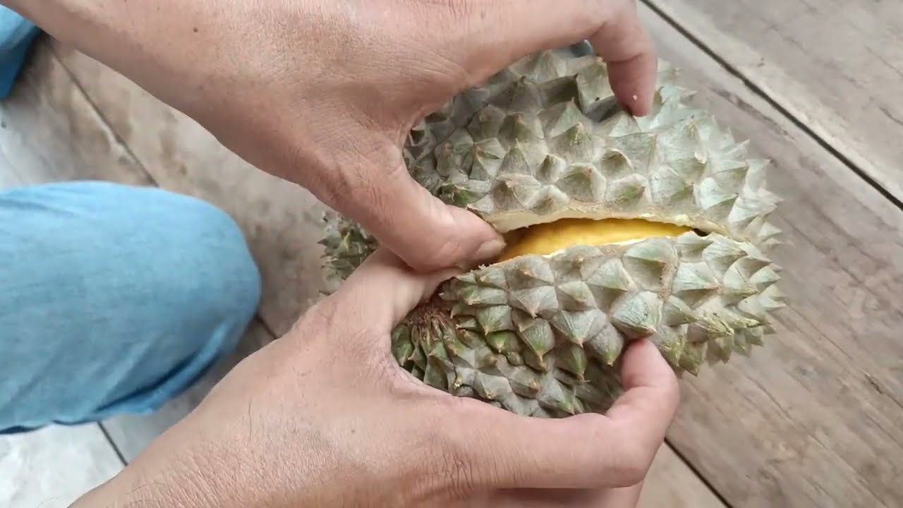 Techniques open durian​ - Simple Easy open durian