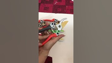 Kéo cắt cành cộng lực Nhật