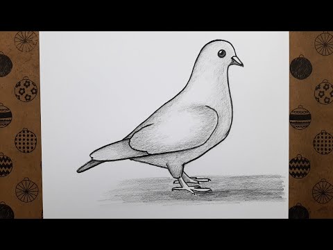 Kolay Karakalem Kuş Resmi Adım Adım Nasıl Çizilir Ögretici Kolay Çizim Videoları