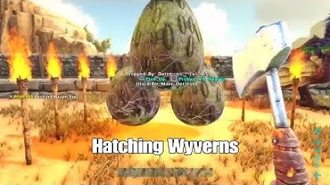 Hatching Wyvern Eggs- Ark Survival Evolved