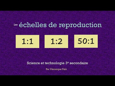 Vidéo: Que signifie l'échelle 1/2 ?