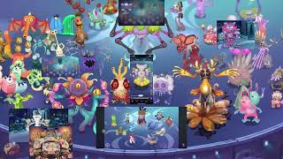 The Mive Magical Nexus Mashup Credits In Dec