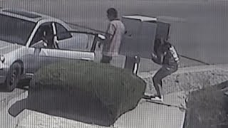 Homeowner confronts thieves who break open mailbox, steal mail