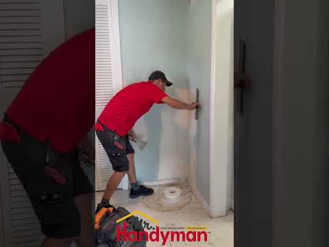Professional Drywall Repair & Painting Transformation | Mr. Handyman Serving Tampa Bay