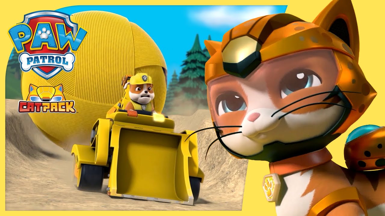 The Cat Pack Stop a Giant Ball of Yarn 🧶 + More Cartoons for Kids | PAW Patrol Episode