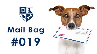 Mailbag #19 - Introducing a New Dog to Your Existing Pack