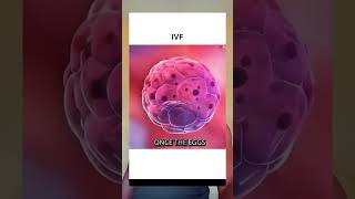 What Is IVF? Explained in 60 Seconds #ivf  #pregnancy  #facts  #women  #motivation  #health #usa