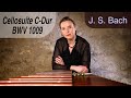 Johann Sebastian Bach - 3rd Suite for Violoncello in C-Major BWV 1009 | Katarzyna Myćka, Marimba