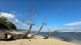 “Relaxing Beach Waves Sound 🌴 White Sand Ocean Ambience for Sleep”
