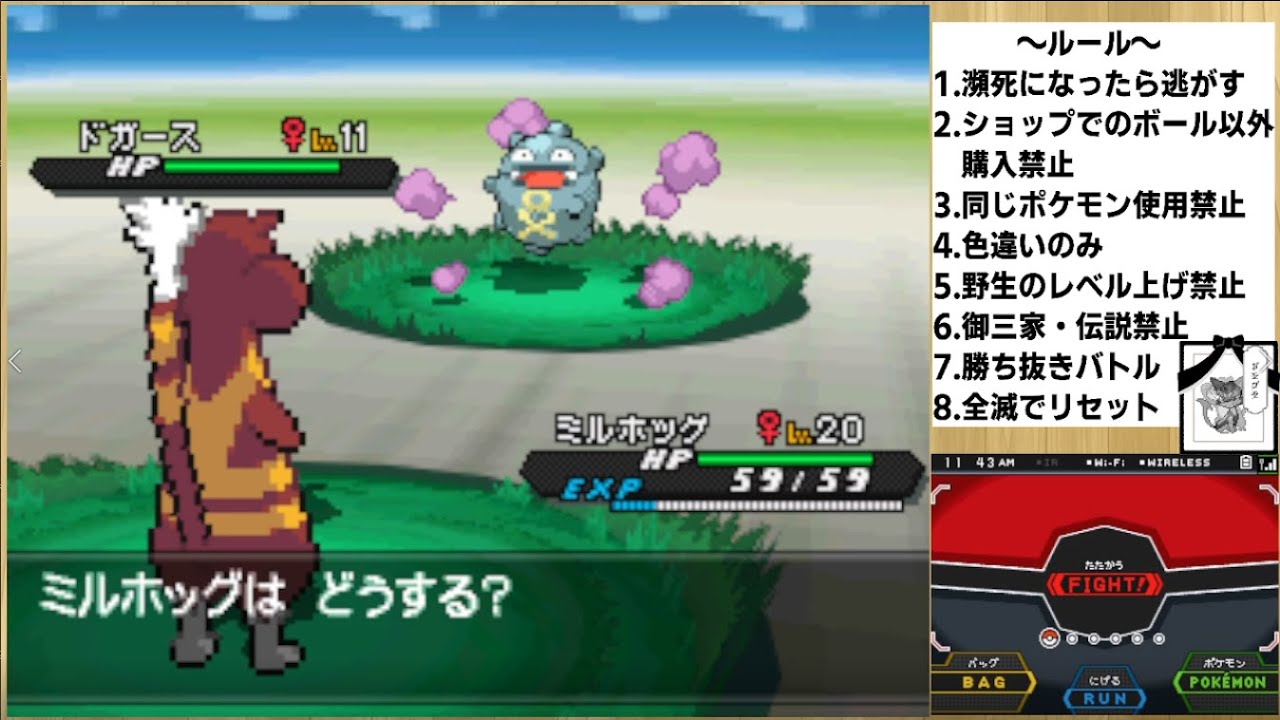 チャレンジモードで死んだら逃がす色違い旅33日目【ポケモンBW2