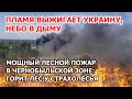 Пламя выжигает Украину. Адский пожар под Киевом. В Чернобыльской зоне горит лес у Страхолесья