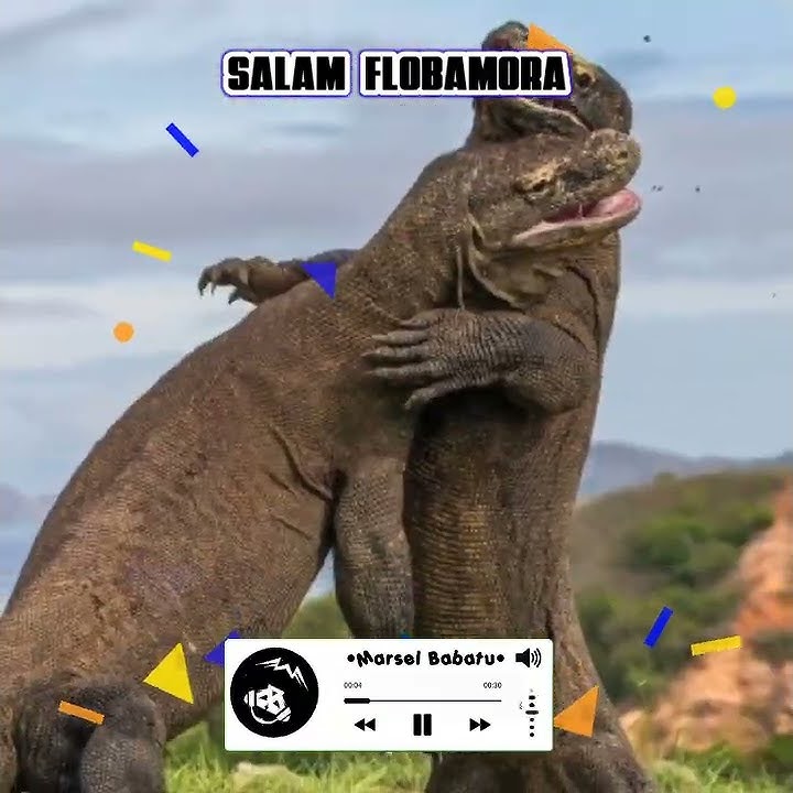 DJ STORY WA 30 DETIK || BETA FLOBAMORA #flobamora #cemoswbo