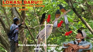 LOKASI BARU!!! burung murai batu dan Burung wambi di lokasi ini memiliki suara yang kerasss