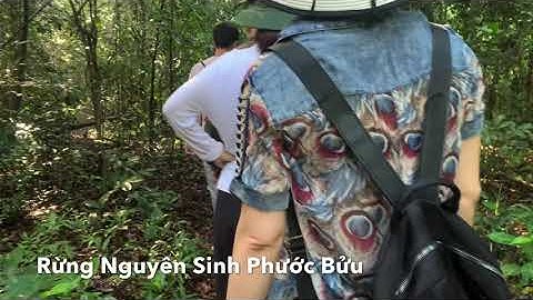 Trải nghiệm đi băng qua rừng nguyên sinh Phước Bửu và cảm giác khi bị lạc trong rừng ra sao !