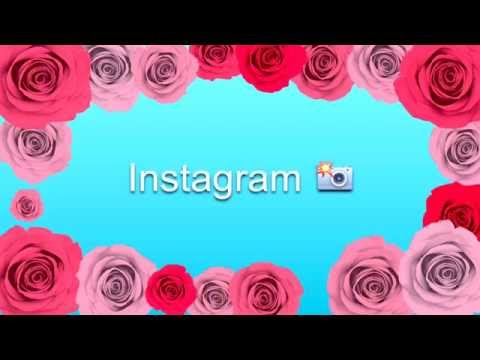 Your Instagram Is A Lier Remix 📸