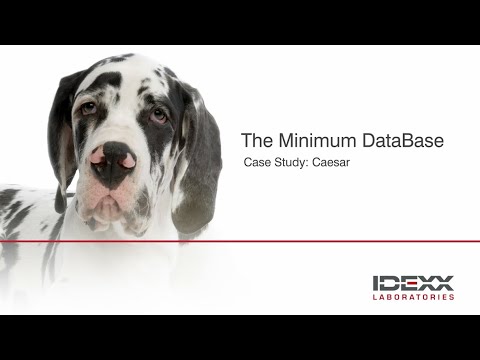 IDEXX - Case Study Caesar for Minimum DataBase