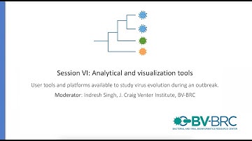 Session VI: Analytical and visualization tools