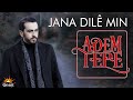 Adem Tepe - Jana Dilê Min (Official Music)
