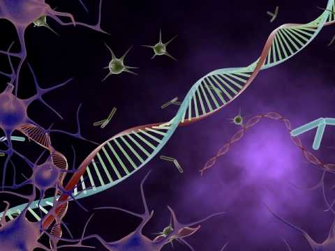 3D Medical Animation - Stylised DNA - YouTube