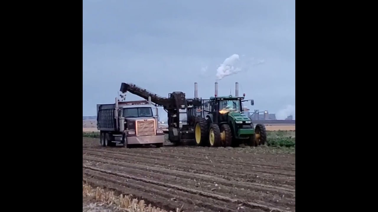 Wilhelm Farms Harvest Season 2020 YouTube