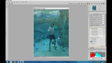 Capture NX2 Workflow Color Control Points
