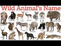 20 Wild Animals Name with sound | जंगली जानवरों के नाम सीखे हिंदी और इंग्लिश में । #wildlife