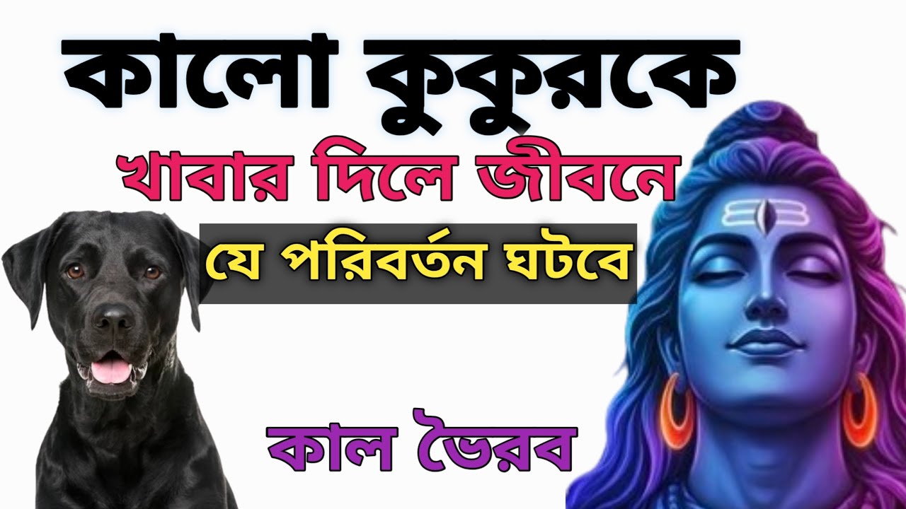 কালো কুকুরকে কেন খাবার দেওয়া উচিত || প্রাণের রবি ||