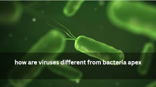 how are viruses different from bacteria apex