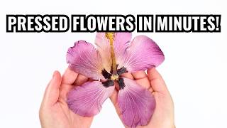 How to Press Flowers in Minutes (Microwavable Flower Press Tutorial - Microfleur)