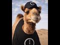 Sol #$MDN Ca: 6tB6j4d2XdN63fgnQnRdxymCJq6SubgKc6raNrF7pump