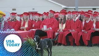 Celebrity You won't believe why this dog interrupted a valedictorian speech | USA TODAY Wealth