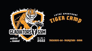 TIGER CAMP 2022