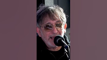 The Lightning Seeds perform 