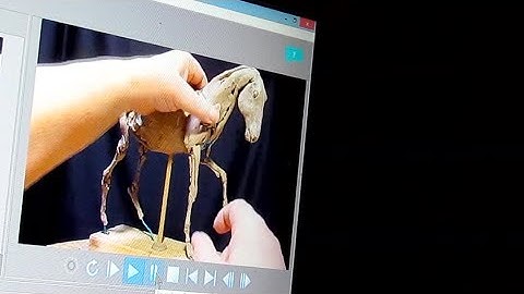 Putting the Video Together for Part 2 of my Instructional DVD on Creating a Horse